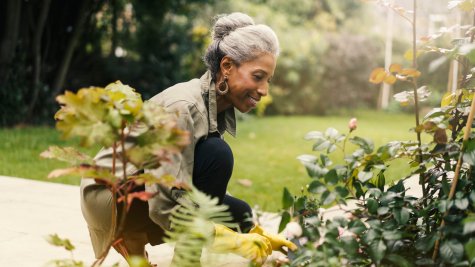 Senior Living Landscape